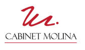Logo minisite